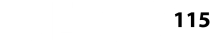 demo115-b