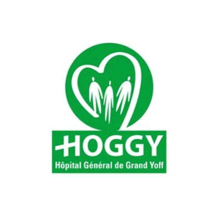 hoggy.webp