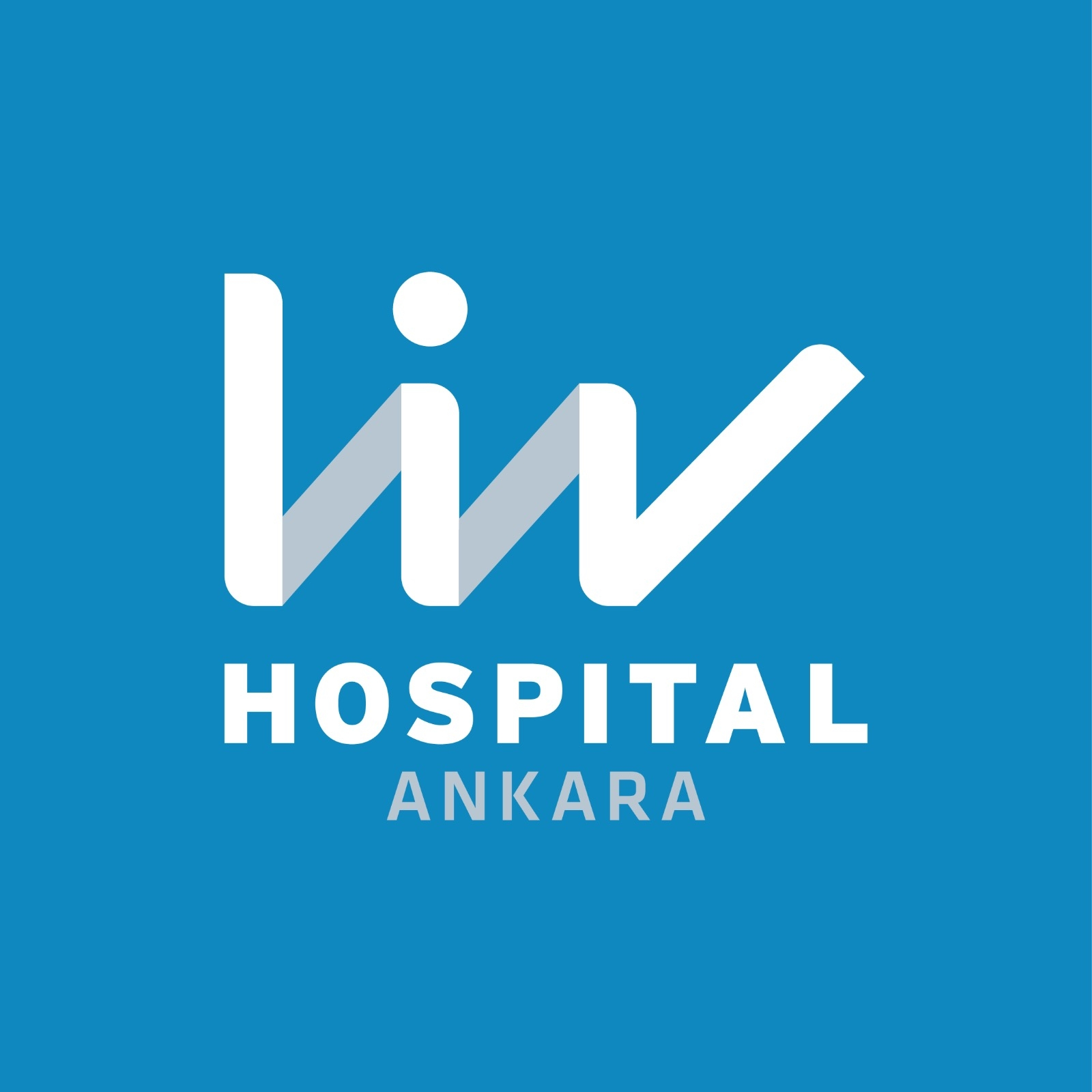 liv-hospital-ankara.webp